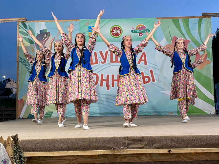 Шушма буйлары кабат моңга күмелде