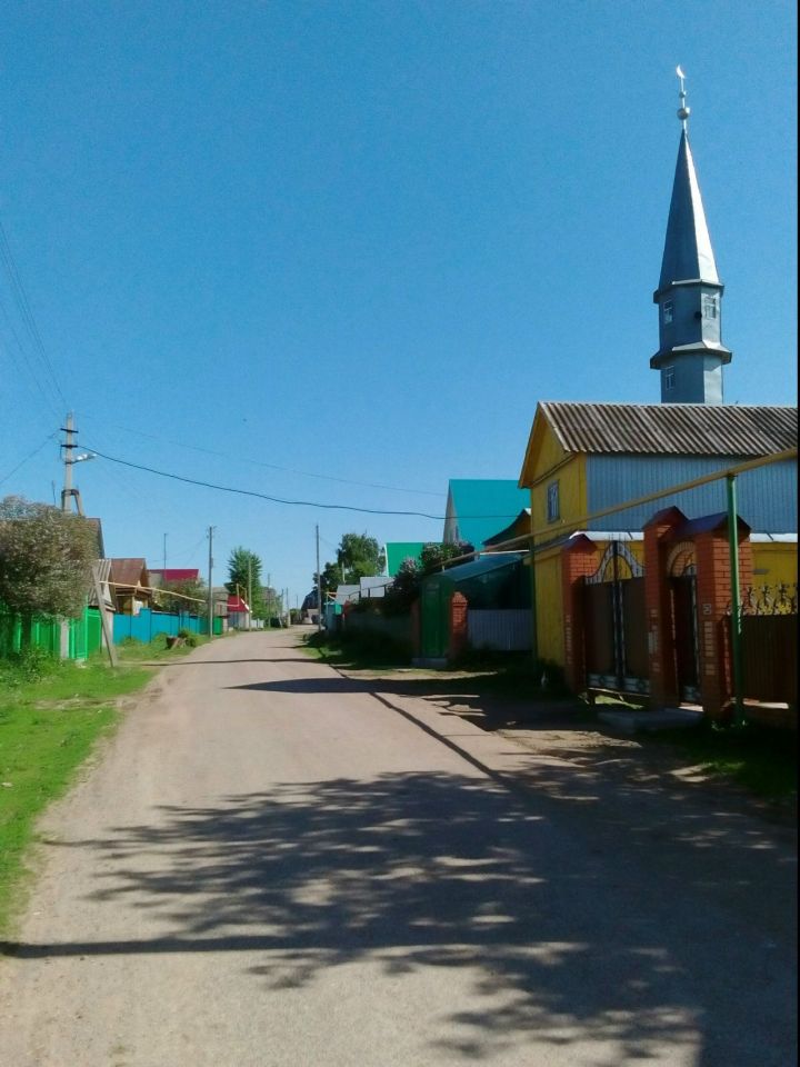 Билсур Гарипов Салавыч Сәрдегәнендә узган авыл көненнән алган тәэсирләре белән уртаклашты